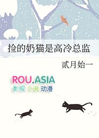 捡的奶猫是高冷总监